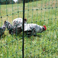 Foire aux parcs