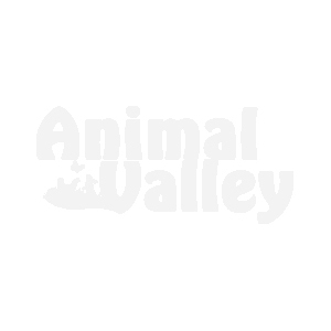 Anneau Anti Gaspillage Pour Mangeoire Poule Galvanisé 10 Kg